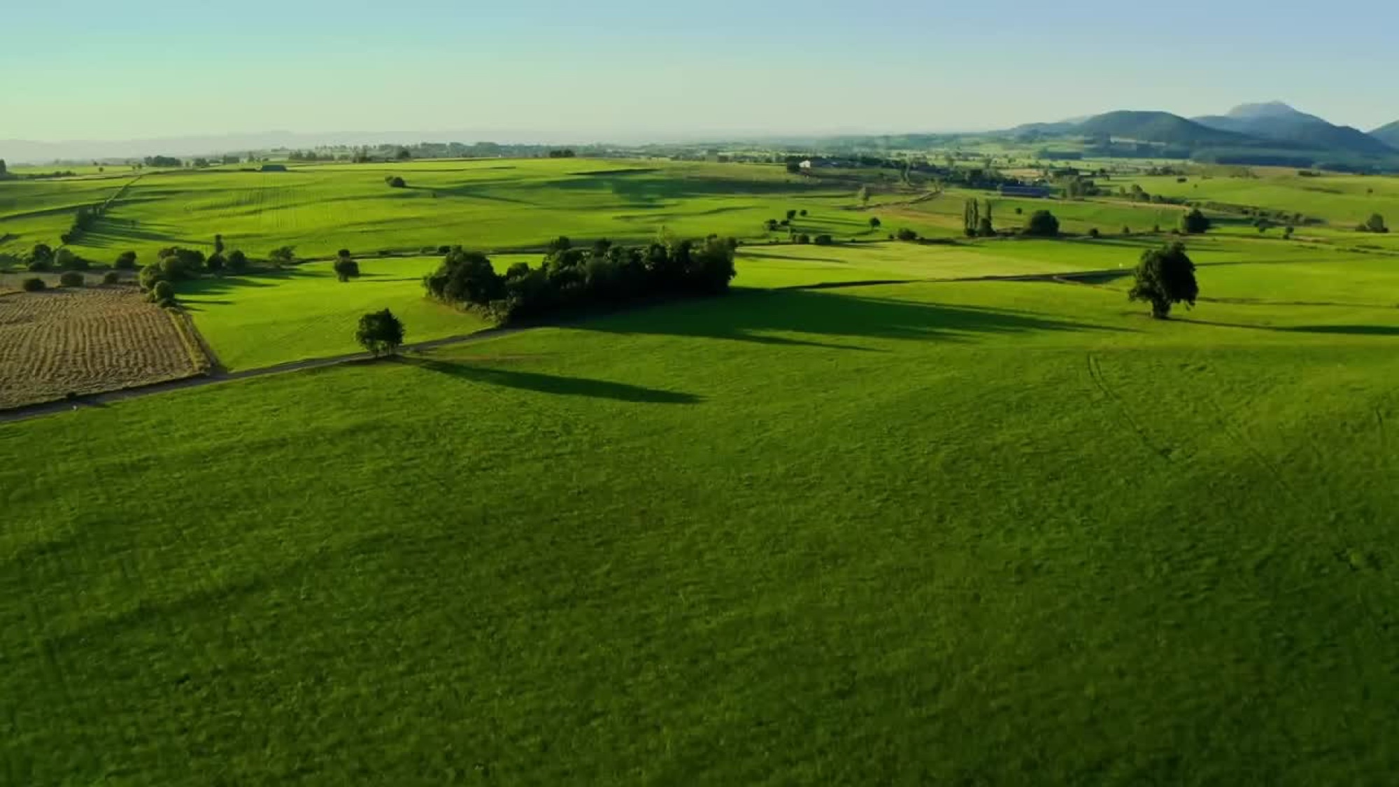 DJI Agras T100